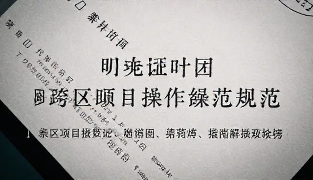 流程优化中的操作规范问题及处理方向